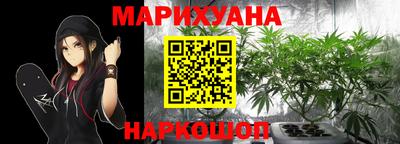 гидра Славгород