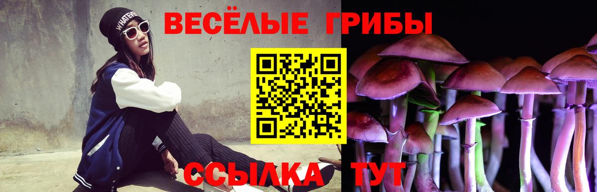 Псилоцибиновые грибы мухоморы  Вход с VPN  Орехово-Зуево 